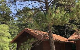 The Old Man'S Chalet
